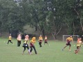 Tn dsc 2505